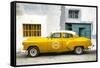 Cuba Fuerte Collection - Honey Pontiac 1953 Original Classic Car-Philippe Hugonnard-Framed Stretched Canvas