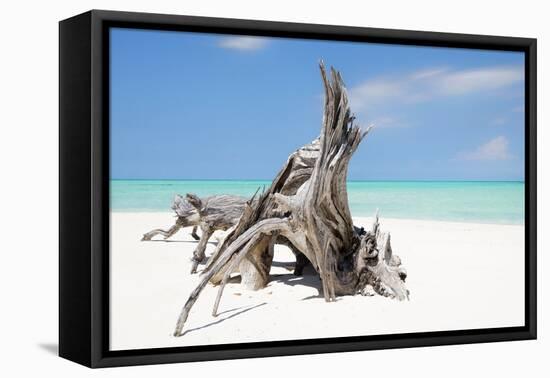 Cuba Fuerte Collection - Natural Sculpture-Philippe Hugonnard-Framed Stretched Canvas