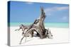 Cuba Fuerte Collection - Natural Sculpture-Philippe Hugonnard-Stretched Canvas