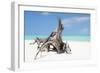 Cuba Fuerte Collection - Natural Sculpture-Philippe Hugonnard-Framed Photographic Print