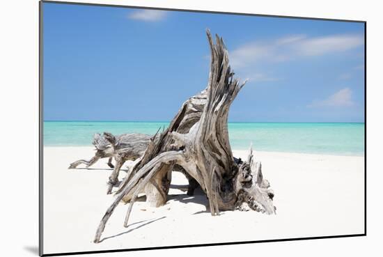 Cuba Fuerte Collection - Natural Sculpture-Philippe Hugonnard-Mounted Photographic Print