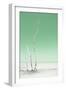 Cuba Fuerte Collection - Ocean Nature - Pastel Green-Philippe Hugonnard-Framed Photographic Print