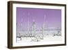 Cuba Fuerte Collection - Ocean Wild Nature - Pastel Purple-Philippe Hugonnard-Framed Photographic Print