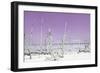 Cuba Fuerte Collection - Ocean Wild Nature - Pastel Purple-Philippe Hugonnard-Framed Photographic Print