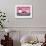 Cuba Fuerte Collection - Old Pink Car-Philippe Hugonnard-Framed Photographic Print displayed on a wall