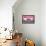 Cuba Fuerte Collection - Old Pink Car-Philippe Hugonnard-Framed Stretched Canvas displayed on a wall