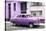 Cuba Fuerte Collection - Old Purple Car in the Streets of Havana-Philippe Hugonnard-Stretched Canvas