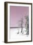 Cuba Fuerte Collection - Pale Violet Summer-Philippe Hugonnard-Framed Photographic Print