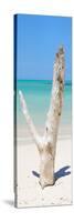 Cuba Fuerte Collection Panoramic - Alone on the Beach-Philippe Hugonnard-Stretched Canvas