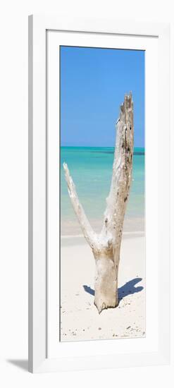 Cuba Fuerte Collection Panoramic - Alone on the Beach-Philippe Hugonnard-Framed Photographic Print