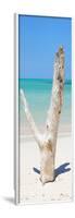 Cuba Fuerte Collection Panoramic - Alone on the Beach-Philippe Hugonnard-Framed Photographic Print