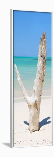 Cuba Fuerte Collection Panoramic - Alone on the Beach-Philippe Hugonnard-Framed Photographic Print