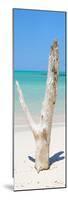 Cuba Fuerte Collection Panoramic - Alone on the Beach-Philippe Hugonnard-Mounted Photographic Print