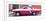 Cuba Fuerte Collection Panoramic - American Classic Car White and Dark Pink-Philippe Hugonnard-Framed Photographic Print