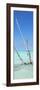 Cuba Fuerte Collection Panoramic - Aquatic Tree-Philippe Hugonnard-Framed Photographic Print