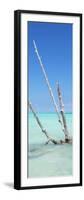 Cuba Fuerte Collection Panoramic - Aquatic Tree-Philippe Hugonnard-Framed Photographic Print