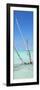 Cuba Fuerte Collection Panoramic - Aquatic Tree-Philippe Hugonnard-Framed Photographic Print