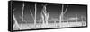 Cuba Fuerte Collection Panoramic BW - Ocean Wild Nature-Philippe Hugonnard-Framed Stretched Canvas