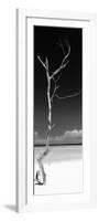 Cuba Fuerte Collection Panoramic BW - Solitary Tree-Philippe Hugonnard-Framed Photographic Print