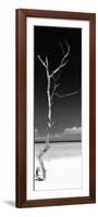 Cuba Fuerte Collection Panoramic BW - Solitary Tree-Philippe Hugonnard-Framed Photographic Print