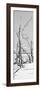Cuba Fuerte Collection Panoramic BW - Tropical Wild Beach II-Philippe Hugonnard-Framed Photographic Print