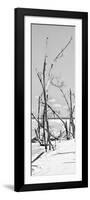 Cuba Fuerte Collection Panoramic BW - Tropical Wild Beach II-Philippe Hugonnard-Framed Photographic Print