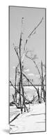 Cuba Fuerte Collection Panoramic BW - Tropical Wild Beach II-Philippe Hugonnard-Mounted Photographic Print