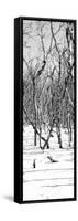 Cuba Fuerte Collection Panoramic BW - White Forest-Philippe Hugonnard-Framed Stretched Canvas