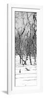 Cuba Fuerte Collection Panoramic BW - White Forest-Philippe Hugonnard-Framed Photographic Print