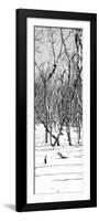 Cuba Fuerte Collection Panoramic BW - White Forest-Philippe Hugonnard-Framed Photographic Print