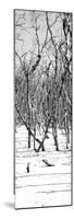 Cuba Fuerte Collection Panoramic BW - White Forest-Philippe Hugonnard-Mounted Photographic Print