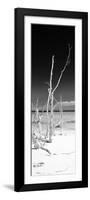 Cuba Fuerte Collection Panoramic BW - Wild White Sand Beach II-Philippe Hugonnard-Framed Photographic Print