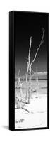 Cuba Fuerte Collection Panoramic BW - Wild White Sand Beach II-Philippe Hugonnard-Framed Stretched Canvas