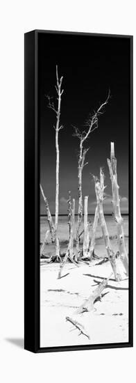 Cuba Fuerte Collection Panoramic BW - Wild White Sand Beach-Philippe Hugonnard-Framed Stretched Canvas