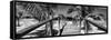 Cuba Fuerte Collection Panoramic BW - Wooden Jetty on the Beach-Philippe Hugonnard-Framed Stretched Canvas