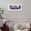 Cuba Fuerte Collection Panoramic - Classic Purple Car-Philippe Hugonnard-Framed Photographic Print displayed on a wall