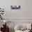 Cuba Fuerte Collection Panoramic - Classic Purple Car-Philippe Hugonnard-Stretched Canvas displayed on a wall