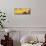 Cuba Fuerte Collection Panoramic - Close-up of Retro Yellow Car-Philippe Hugonnard-Mounted Photographic Print displayed on a wall