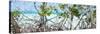 Cuba Fuerte Collection Panoramic - Mangroves-Philippe Hugonnard-Stretched Canvas