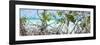 Cuba Fuerte Collection Panoramic - Mangroves-Philippe Hugonnard-Framed Photographic Print