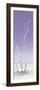 Cuba Fuerte Collection Panoramic - Ocean Nature - Pastel Purple-Philippe Hugonnard-Framed Photographic Print