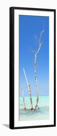 Cuba Fuerte Collection Panoramic - Ocean Nature-Philippe Hugonnard-Framed Premium Photographic Print