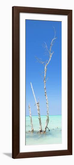 Cuba Fuerte Collection Panoramic - Ocean Nature-Philippe Hugonnard-Framed Photographic Print