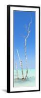 Cuba Fuerte Collection Panoramic - Ocean Nature-Philippe Hugonnard-Framed Photographic Print