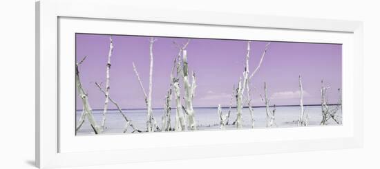 Cuba Fuerte Collection Panoramic - Ocean Wild Nature - Pastel Purple-Philippe Hugonnard-Framed Photographic Print