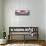 Cuba Fuerte Collection Panoramic - Old Pink Car-Philippe Hugonnard-Framed Stretched Canvas displayed on a wall