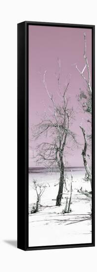Cuba Fuerte Collection Panoramic - Pale Violet Summer-Philippe Hugonnard-Framed Stretched Canvas