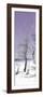 Cuba Fuerte Collection Panoramic - Plum Summer-Philippe Hugonnard-Framed Photographic Print