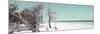 Cuba Fuerte Collection Panoramic - Sandy Beach Pastel Coral Green-Philippe Hugonnard-Mounted Photographic Print