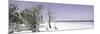 Cuba Fuerte Collection Panoramic - Sandy Beach Pastel Mauve-Philippe Hugonnard-Mounted Photographic Print